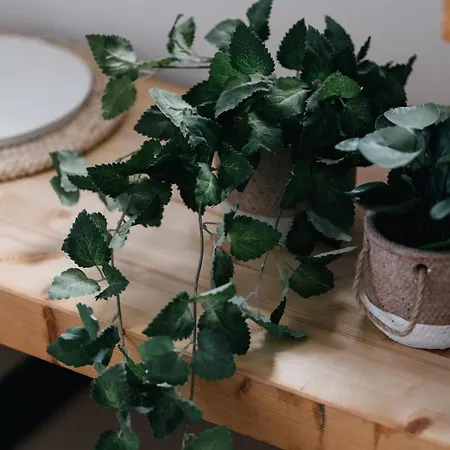 Eva Recommends Capilla De La Jura En Jerez Χέρεζ