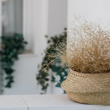 Διαμέρισμα Eva Recommends Capilla De La Jura En Jerez Χέρεζ