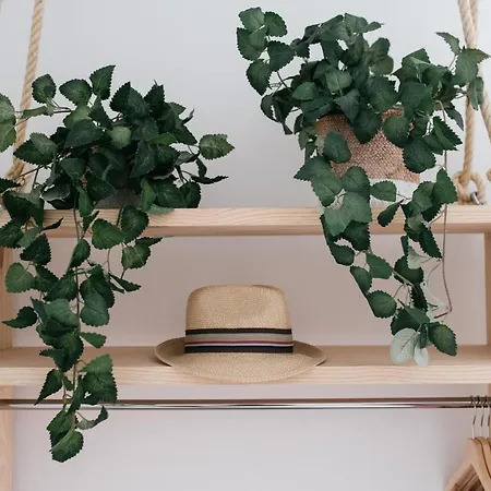 Eva Recommends Capilla De La Jura En Jerez Διαμέρισμα