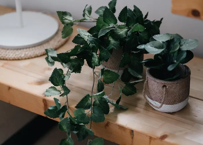 Eva Recommends Capilla De La Jura En Jerez جيريز