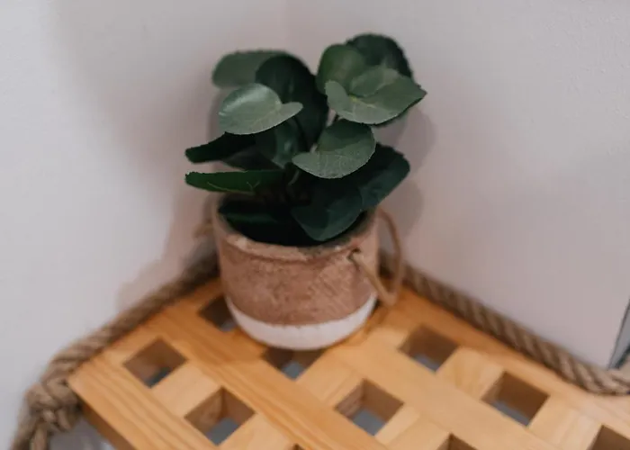 شقة Eva Recommends Capilla De La Jura En Jerez