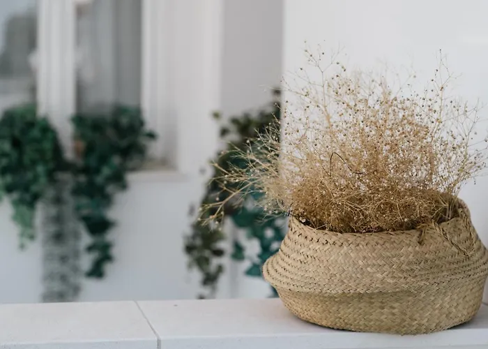 Lägenhet Eva Recommends Capilla De La Jura En Jerez Jerez de la Frontera