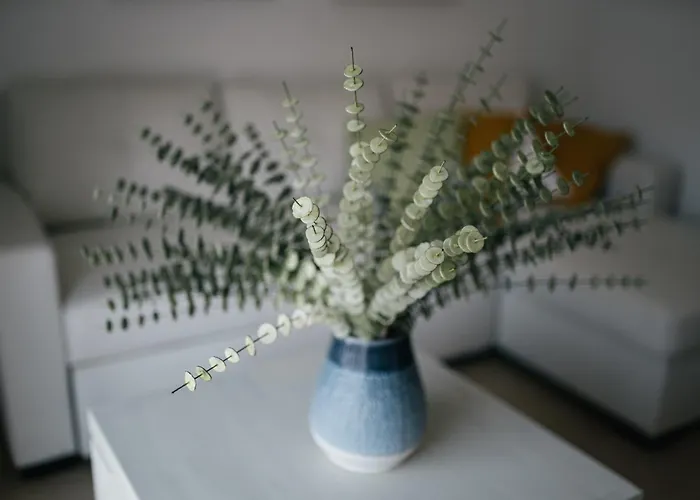 Eva Recommends Capilla De La Jura En Jerez